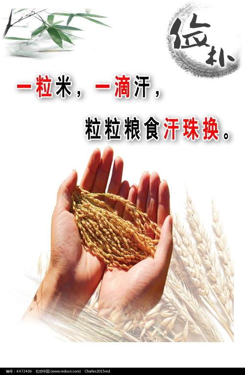 非学历继续教育证书编号和发证机关不能重复怎么办
